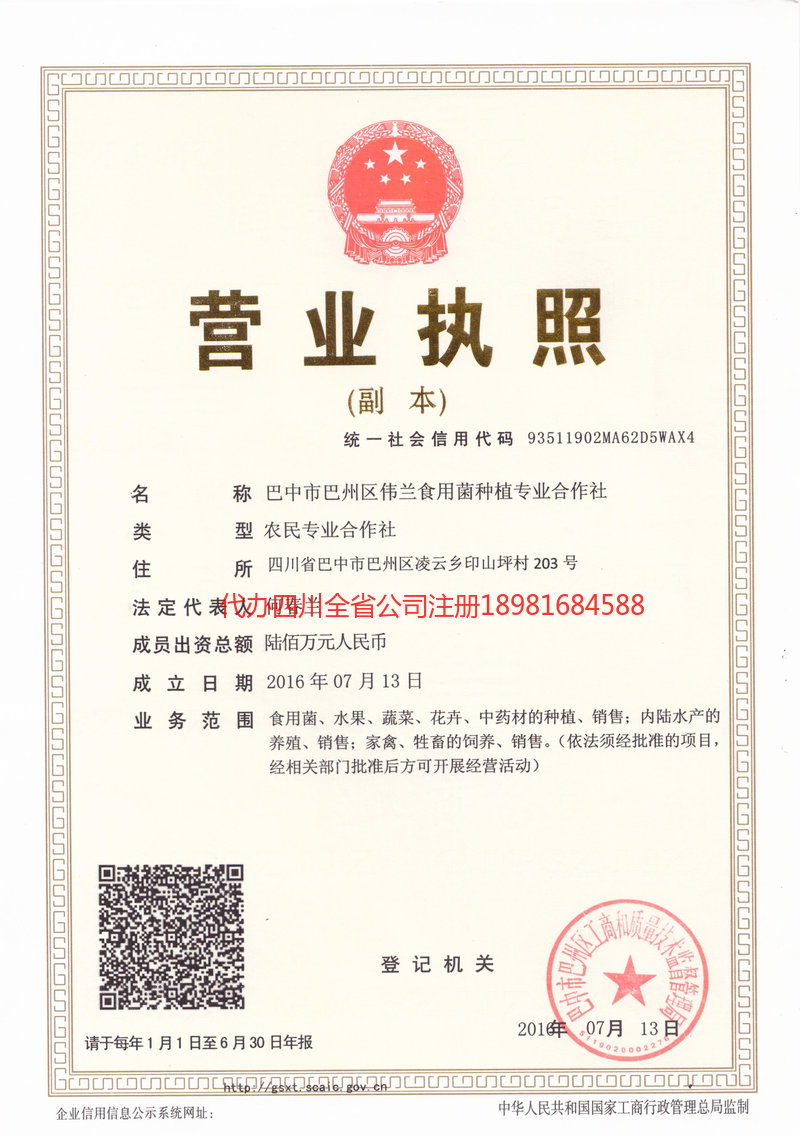 武安武安伟兰食用菌种植专业合作社